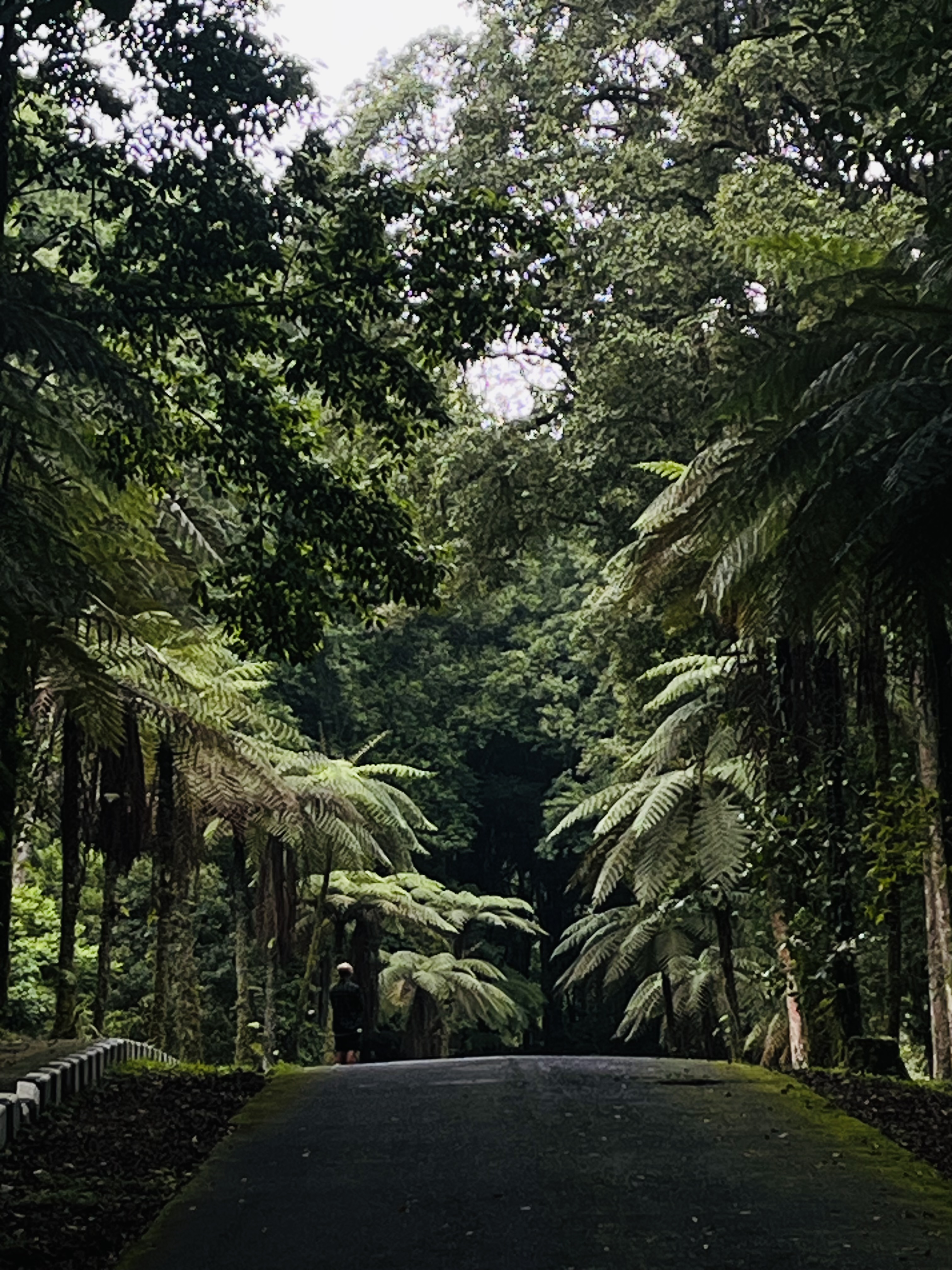 A generative stop — Dichotomy of nature