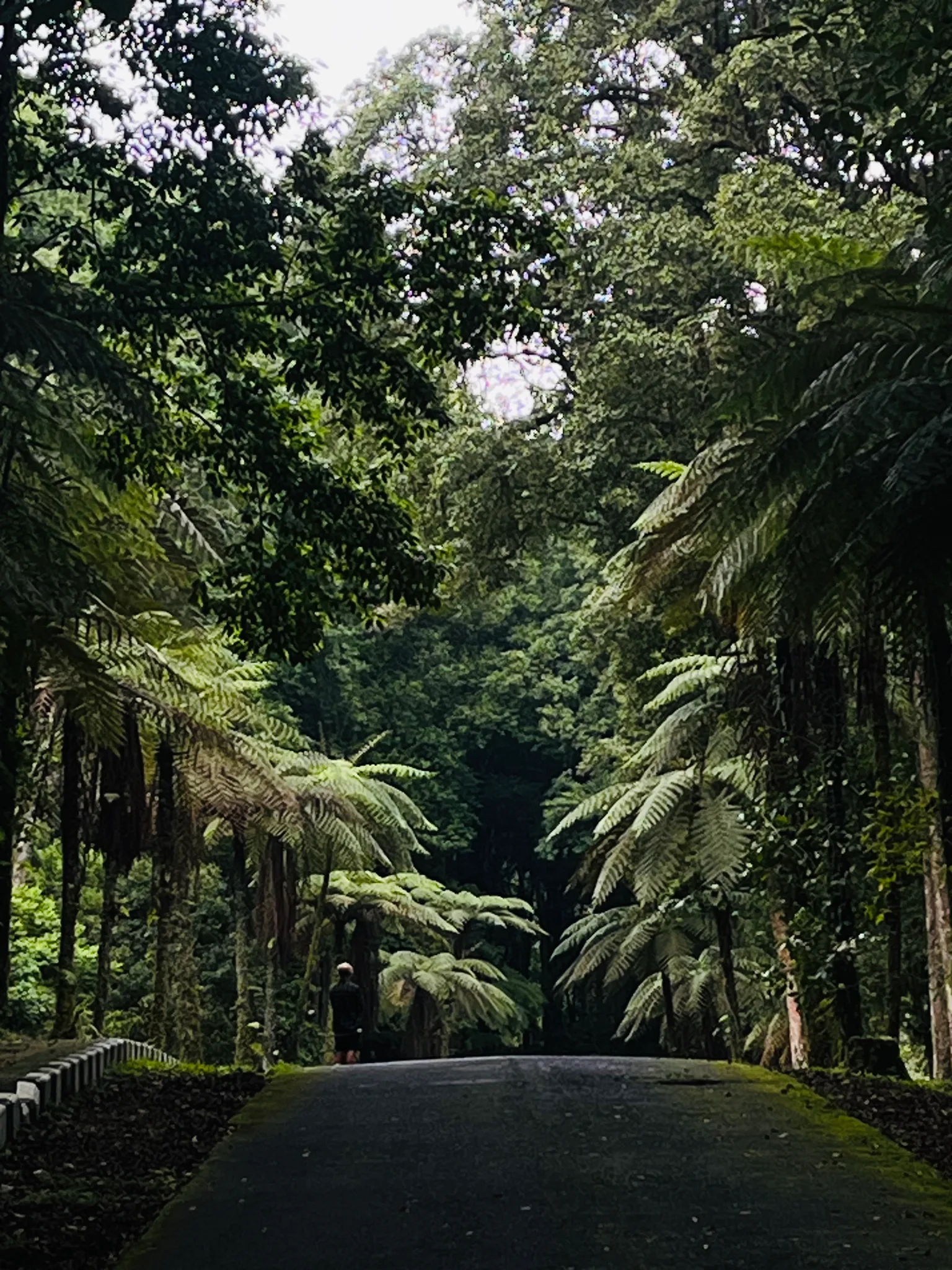 A generative stop — Dichotomy of nature