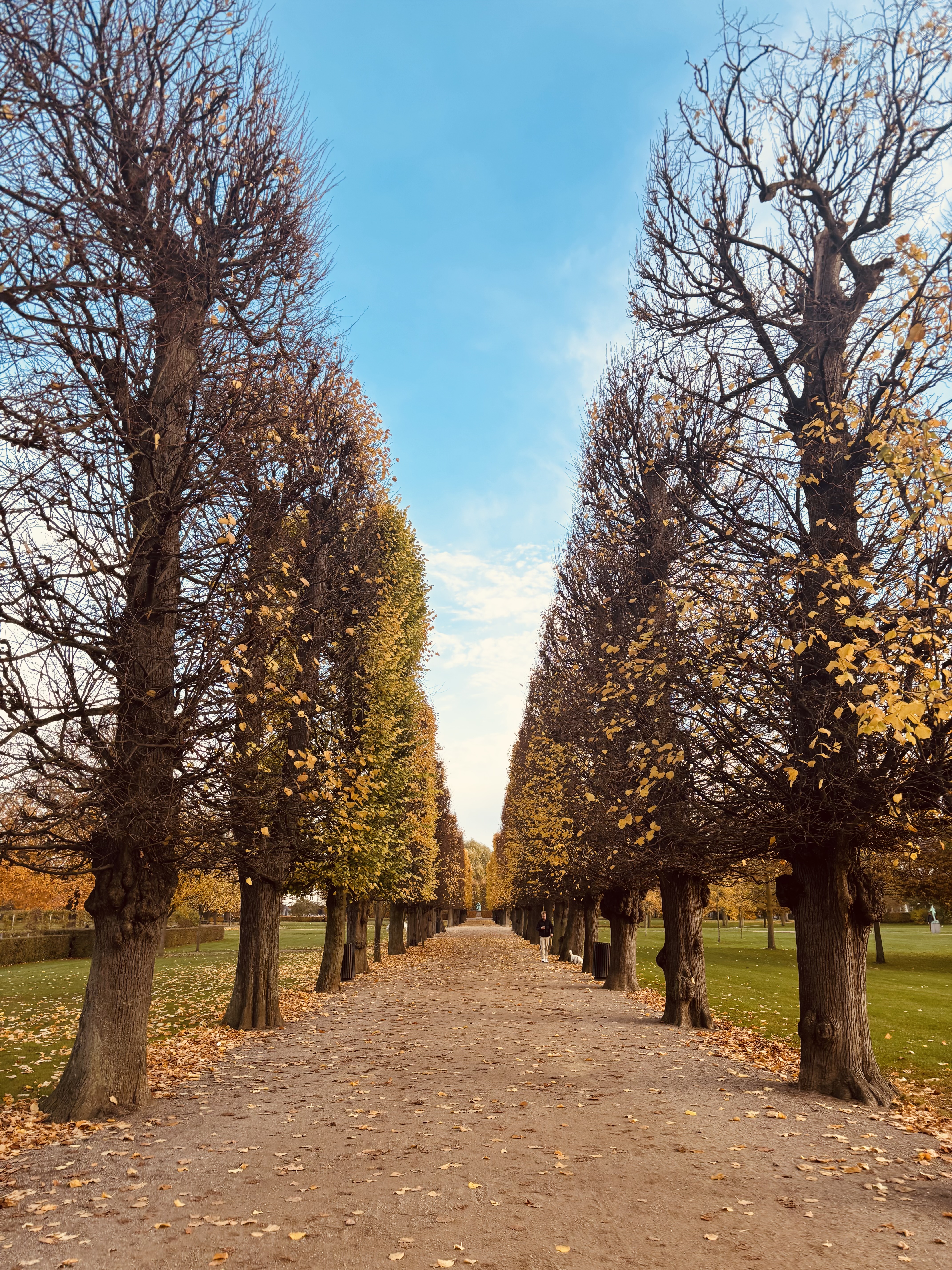 Nature #02 — Dichotomy of nature