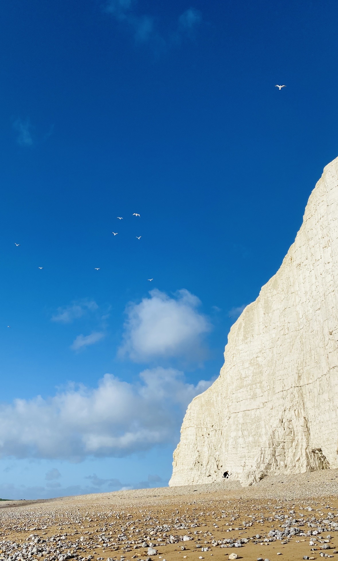 Outer Limit #02 — The outer limit