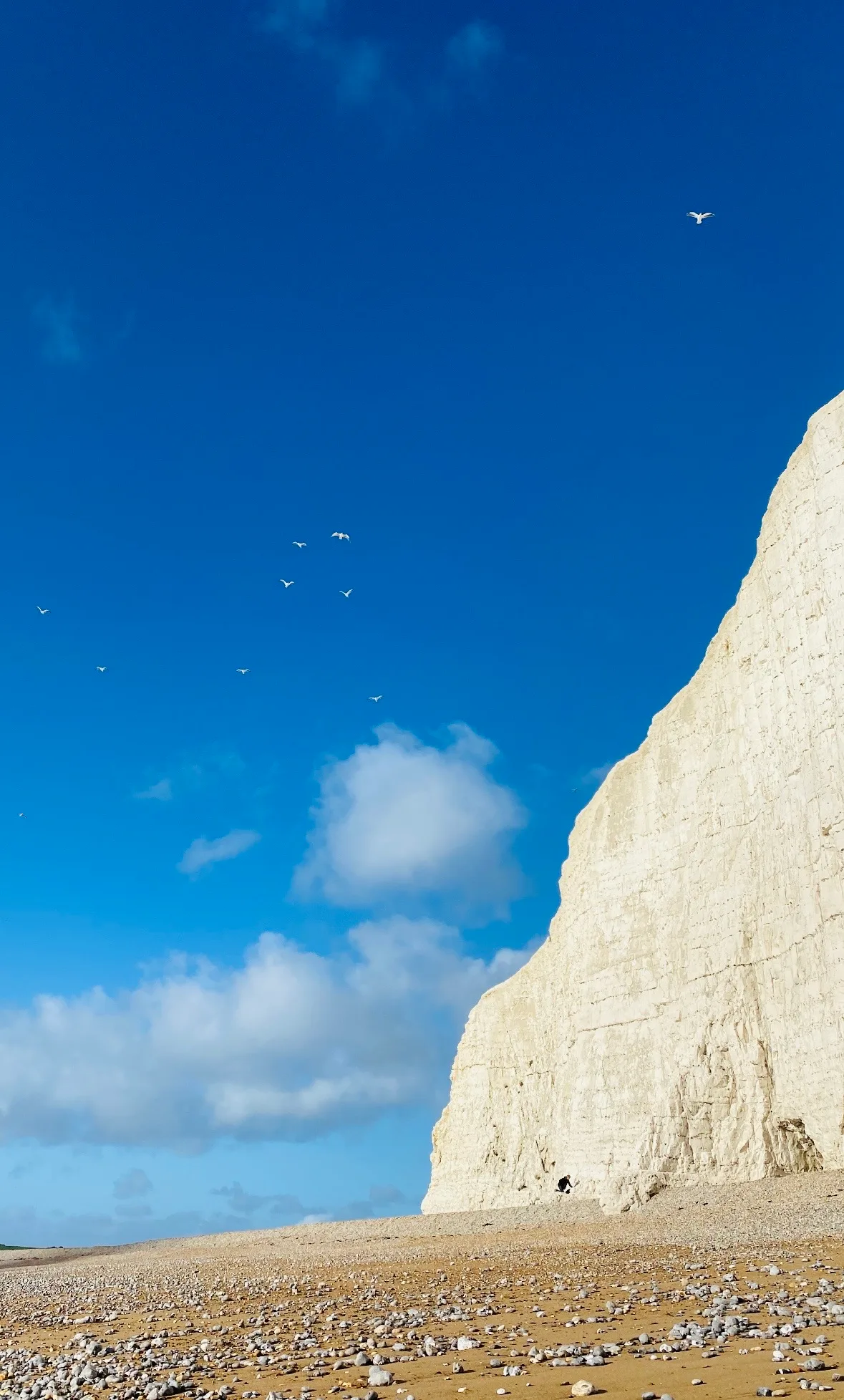 Outer Limit #02 — The outer limit